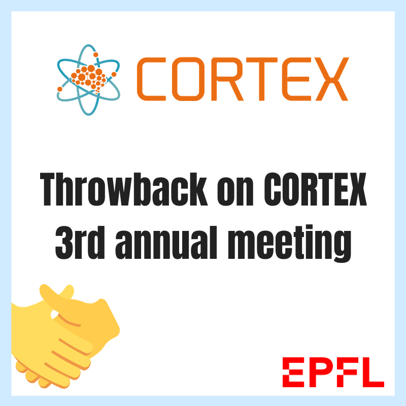 Have a look at the CORTEX 3rd annual meeting at EPFL in Lausanne